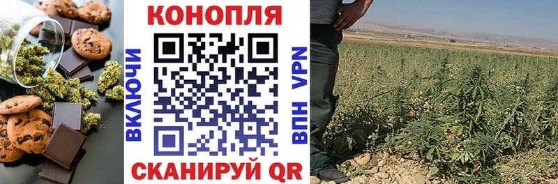 Cannafood конопля Лукоянов