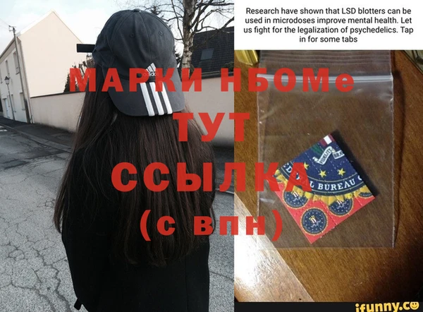 гидропоника Алзамай