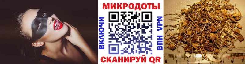 как найти закладки  Лукоянов  Галлюциногенные грибы Psilocybe 